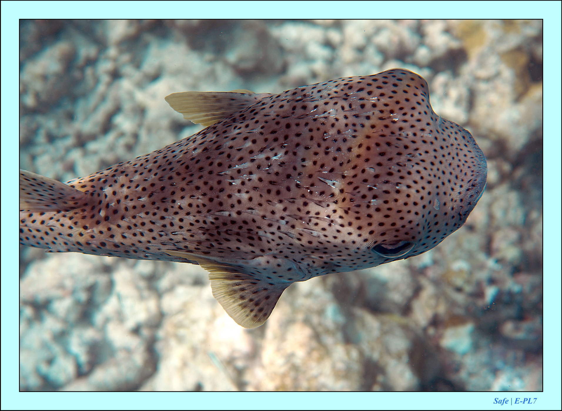 2023 - 07 - Sandies Bathala - 210